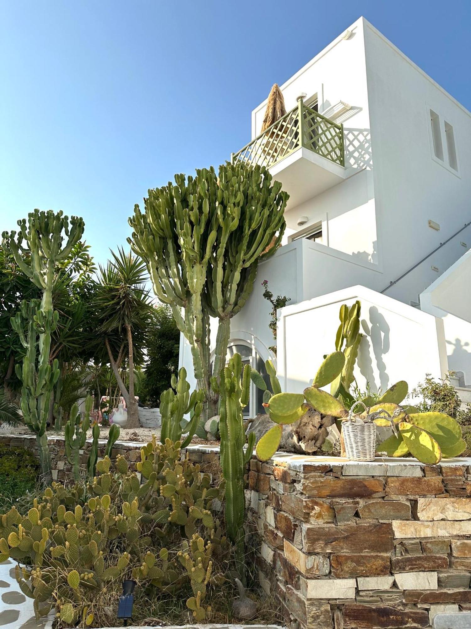 Artemis Hotel Antiparos Exterior photo